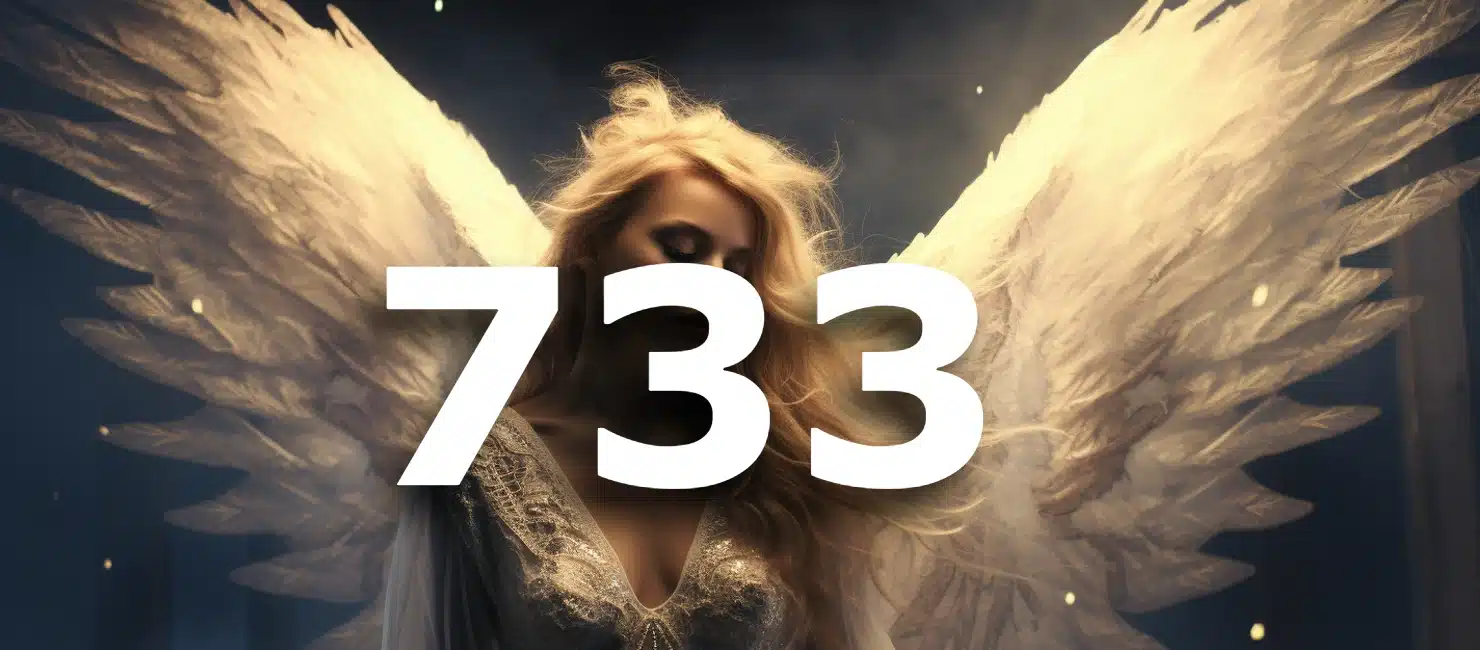 733 angel number