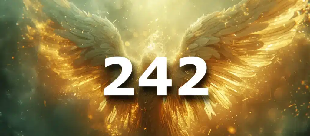 242 angel number