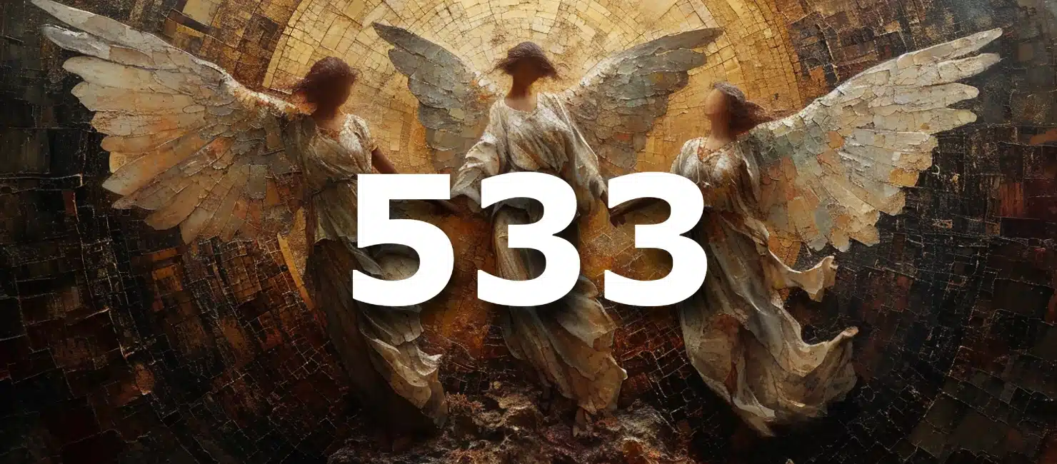 533 angel number