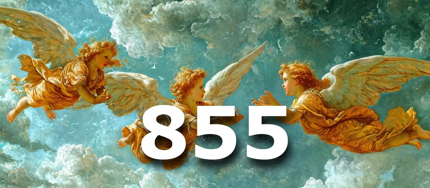 855 angel number