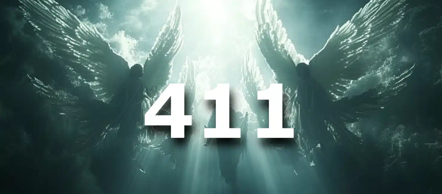 411 Angel Number Meaning: Steady Growth And Bloom